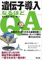 遺伝子導入なるほどQ&A―実験のコツがつかめる基礎知識+siRNA